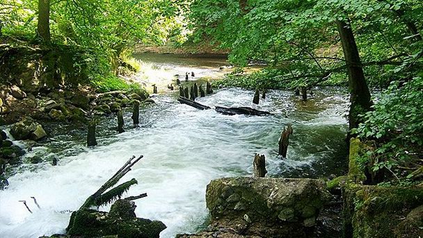 Национальный парк Дравенский в Великопольском воеводстве