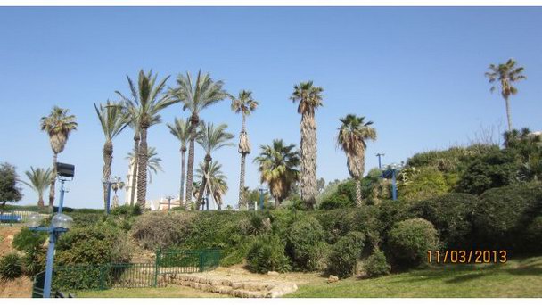 Абраша Парк в Яффо в Тель-Авиве Абраша Парк в Яффо в Тель-Авиве