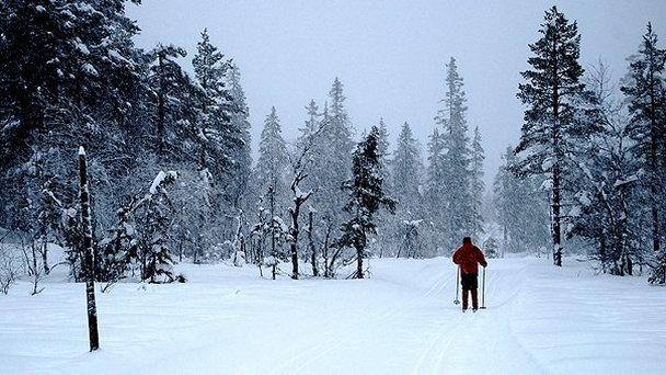 Парковая зона Осломарка