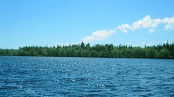 Река Freeman в Альберте