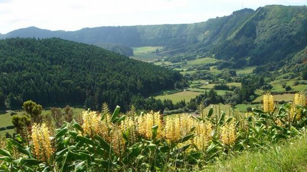 Долина Сете Сидадеш на Азорских островах