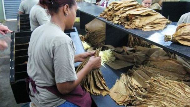 Табачная фабрика La Aurora в Санто-Доминго