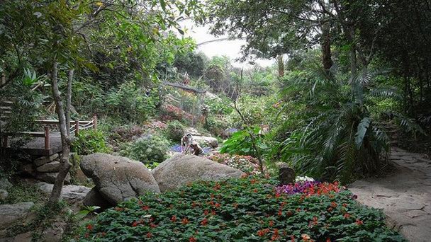 Долина Бабочек на Хайнане