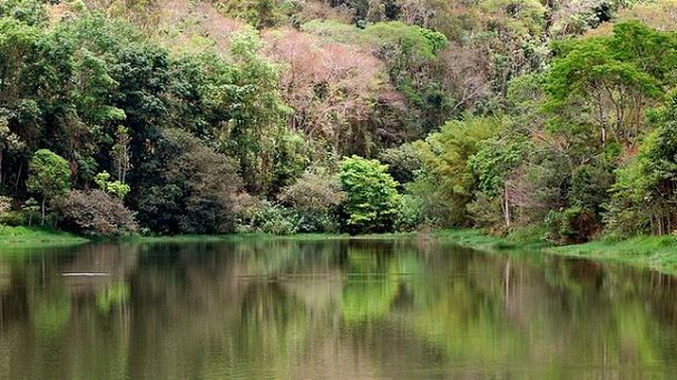 Парк Lajinha в Минас-Жерайсе