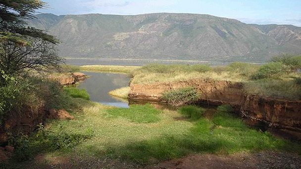Национальный парк Сибилой в Найроби