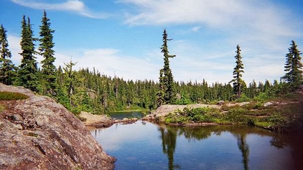 Провинциальный парк Страткона в Ванкувере