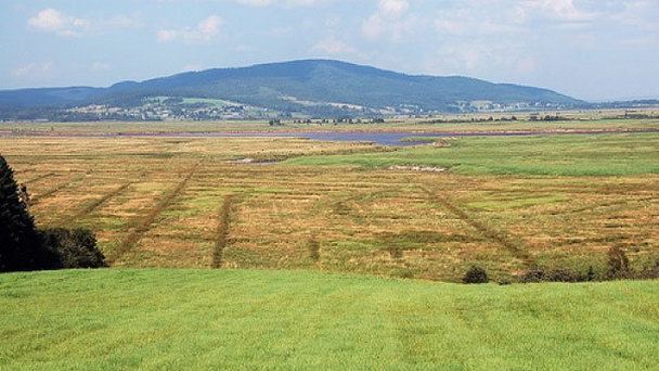 Гора Chipoudy в Нью-Брансуике
