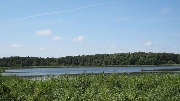 Озеро Готензее в Баварии