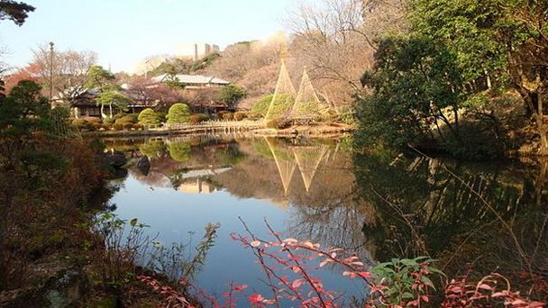 Сад Син-Эдогава в Токио