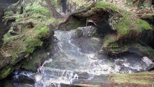 Парк штата Макинна Марин в Британской Колумбии