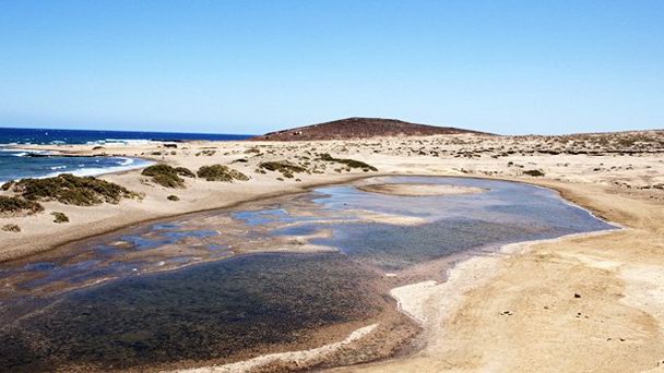 Пляж Эль-Медано на Канарских островах Пляж Эль-Медано на Канарских островах