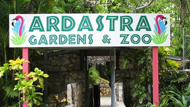 Сад Адастра Гарденс в Нассау Сад Адастра Гарденс в Нассау