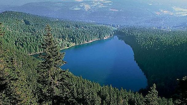 Чёрное озеро в Пльзене Чёрное озеро в Пльзене