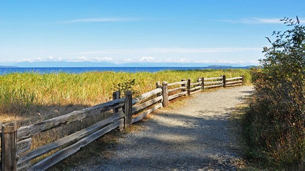 Национальный парк Раттревор Бич в Британской Колумбии