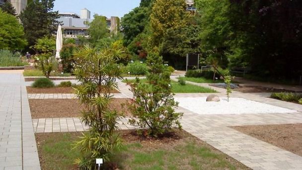 Ботанический сад в Гейдельберге в Баден-Вюртемберге