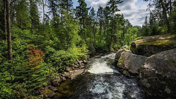 Провинциальный парк Rushing River в Онтарио