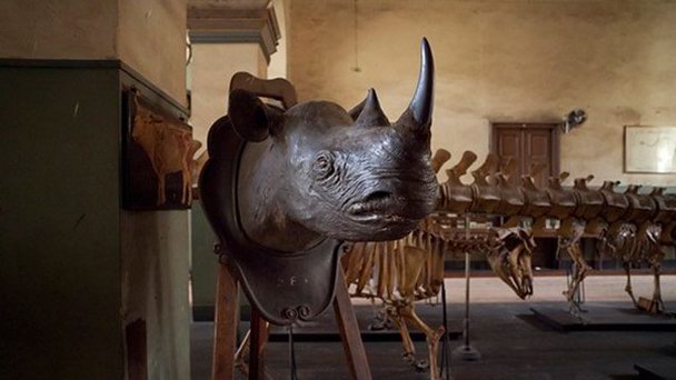 Сельскохозяйственный музей в Гизе