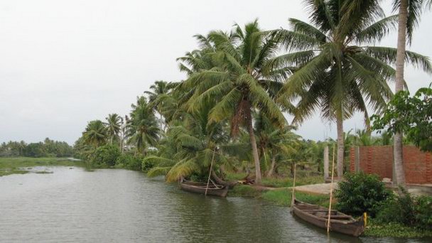 Озеро Вембанад в Керале