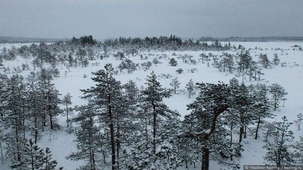 Национальный парк Валкмуса в Котке