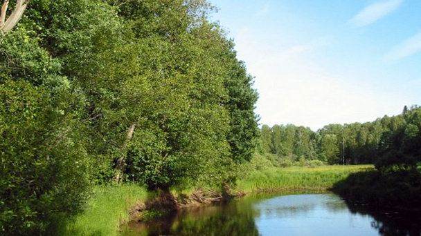 Национальный парк Мещёра в Гусь Хрустальном