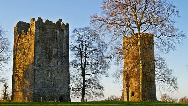 Замок Бернчерч в Килкенни