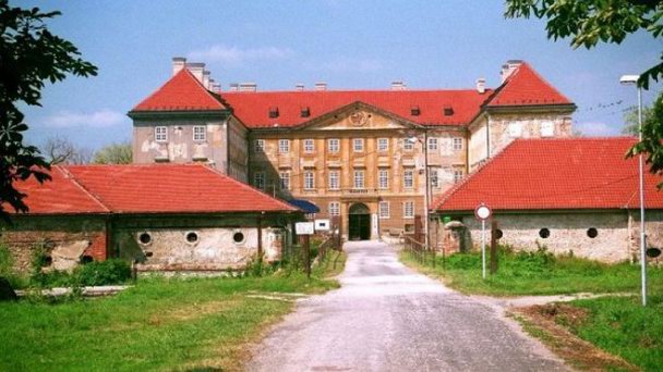 Голичский замок в Скалице