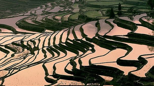 Рисовые террасы в провинции Юньнань в Куньмине Рисовые террасы в провинции Юньнань в Куньмине