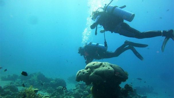 Международный дайвинг-центр Акабы в Акабе Международный дайвинг-центр Акабы в Акабе