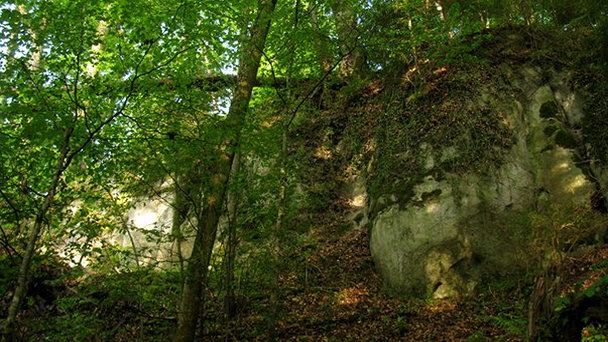 Замок Алт-Бубенберг в Берне