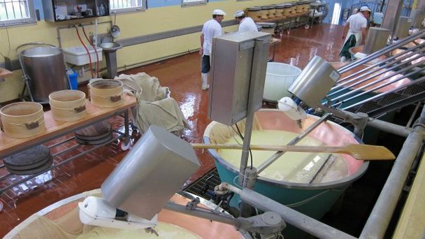 Музей Пармезана в Эмилия Романии Музей Пармезана в Эмилия Романии