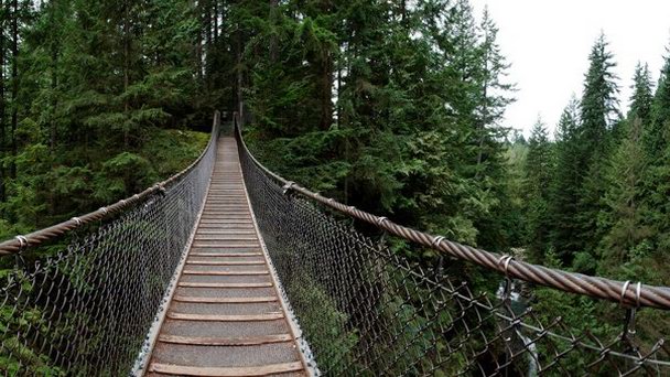 Подвесной мост Lynn Canyon в Британской Колумбии