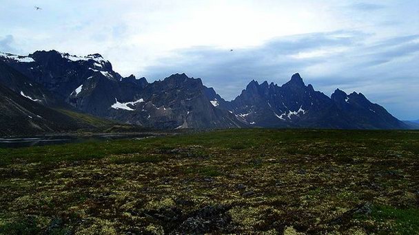 Горы Огилви в Юконе