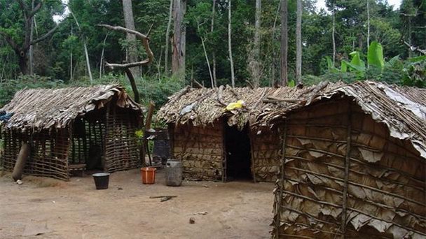 Нкака в Мбандаке