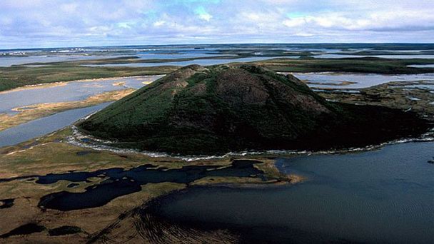 Пинго в Юконе