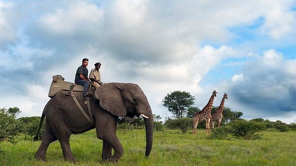 Частный заповедник Капама в Йоханнесбурге