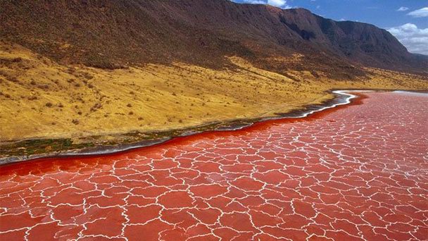 Озеро Натрон в Аруше
