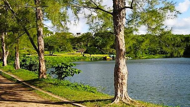 Ботанический сад в Жуан-Песоа