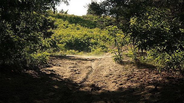 Заповедник Сколчанка в Кракове Заповедник Сколчанка в Кракове