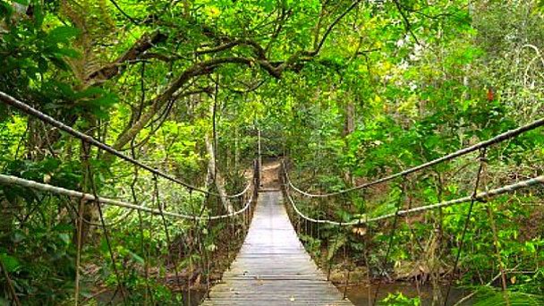 Общественный парк Khao Noi в Сарабури