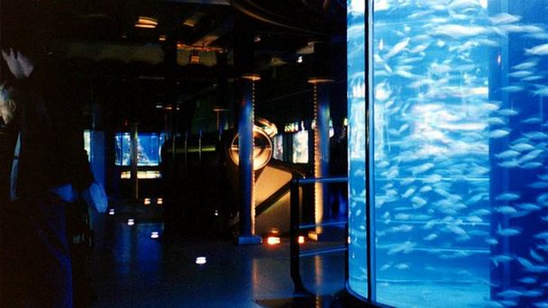 Океанографический музей княжества Монако в Монте-Карло Океанографический музей княжества Монако в Монте-Карло