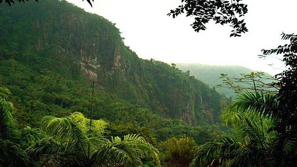 Национальный парк Гвианская Амазония 