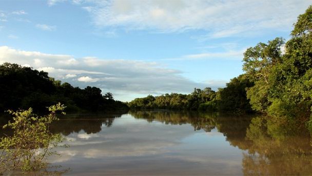 Национальный парк Kainji в Абудже