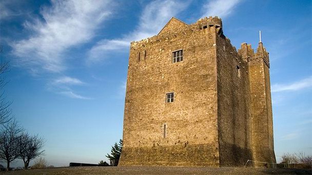 Замок Рэдвуд в Южном Типперэри