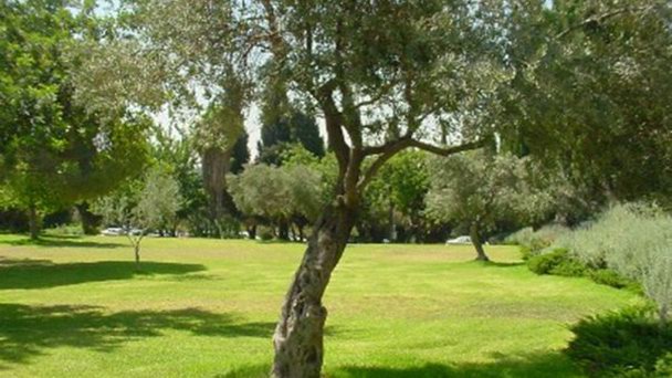 Парк Независимости в Иерусалиме