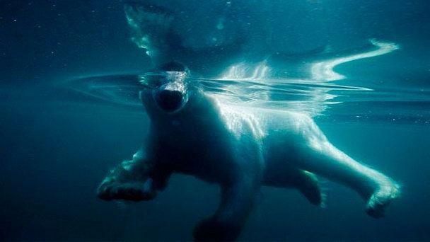 Национальный парк Уккусиксалик в Йеллоунайфе