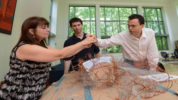 Музей проекта Гиппокамп в Ресифе Музей проекта Гиппокамп в Ресифе