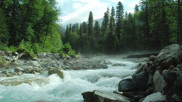 Река Бзыбь в Пицунде