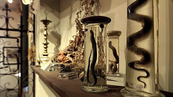 Музей Aboca в Тоскане