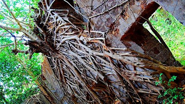 Реди Форт в Гоа