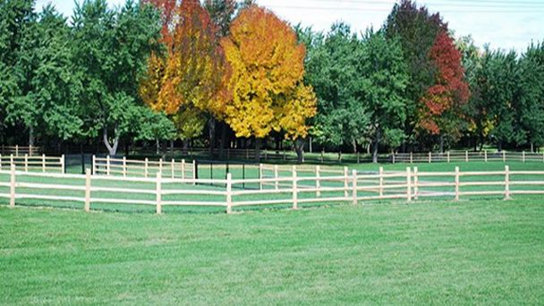 Мемориальный парк семьи Томсон в Торонто